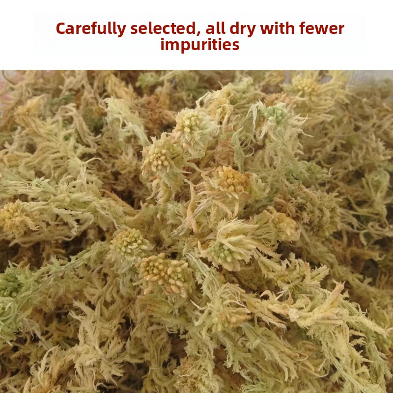 طحلب السفاغنوم المجفف من الدرج - مراجعة Preserved Moss Sheet وسعره